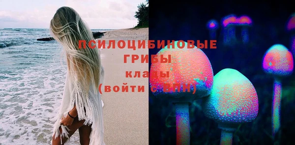 прущие крисы Алексин